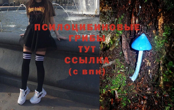 крисы Заводоуковск