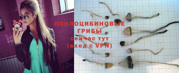 экстази Заволжск