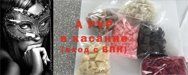крисы Заводоуковск