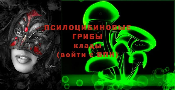 крисы Заводоуковск