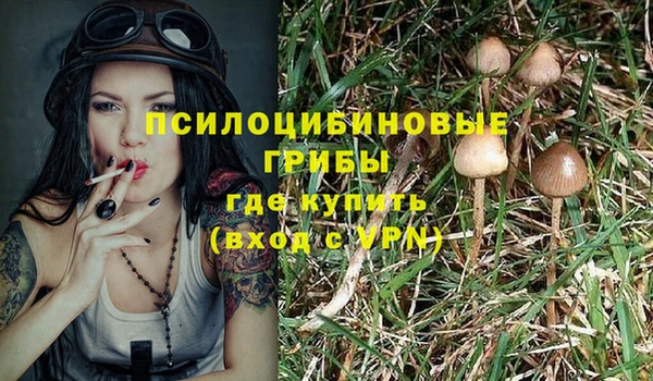 крисы Заводоуковск