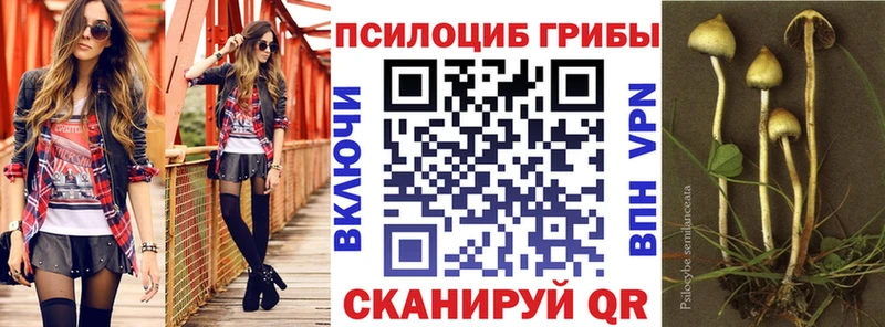 Галлюциногенные грибы прущие грибы  дарнет шоп  Каргополь 