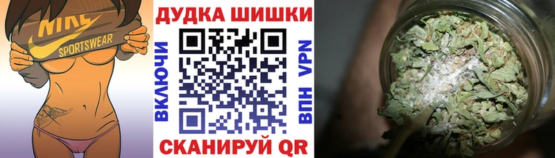 где найти наркотики  Каргополь  Бошки марихуана марихуана 